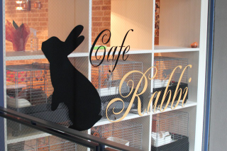 Illustration for article titled A Visit to Japan's Bunny Cafes